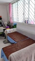 Blk 249 Yishun Sunshine (Yishun), HDB 4 Rooms #629321351